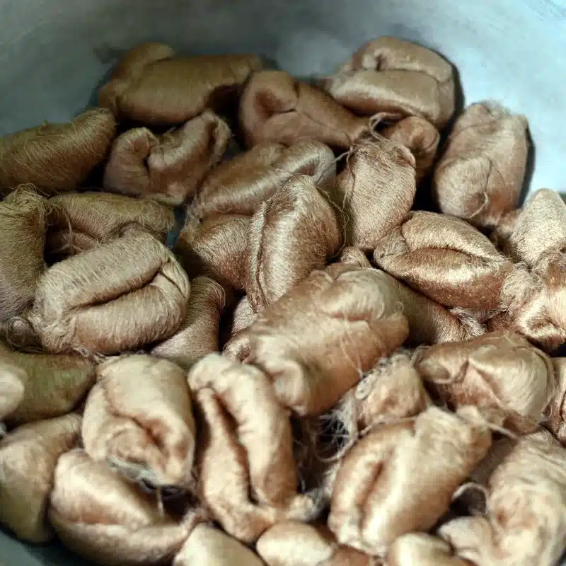 Silk cocoons
